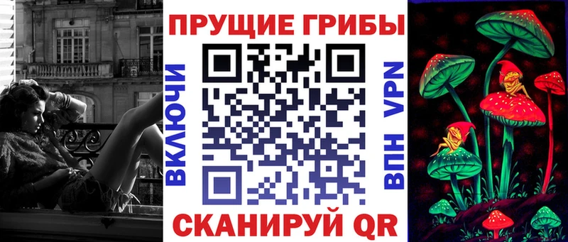где найти наркотики Бавлы Псилоцибиновые грибы MAGIC MUSHROOMS